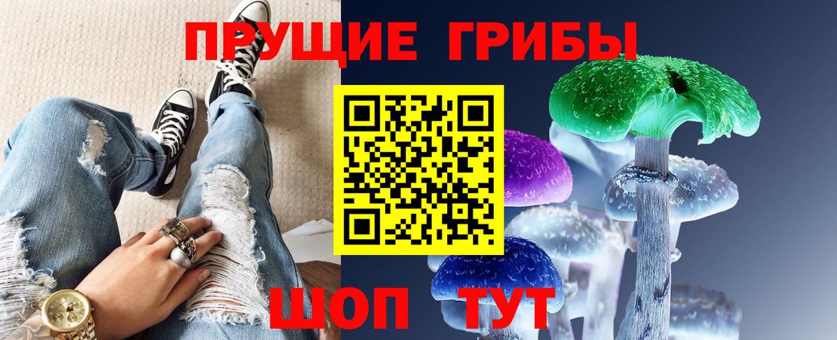 Сертолово  Псилоцибиновые грибы мицелий  сколько стоит  Вход с VPN 